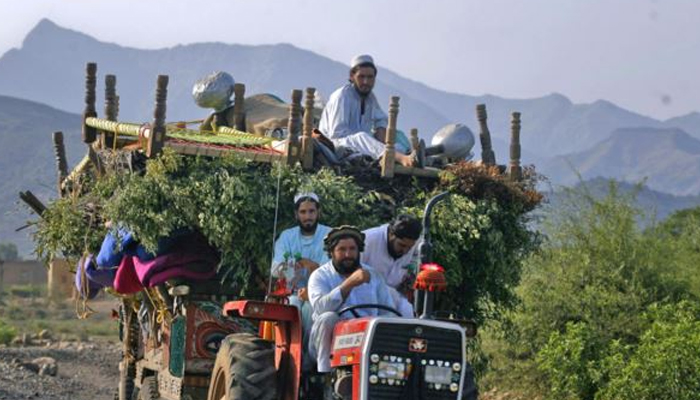 Fata reforms