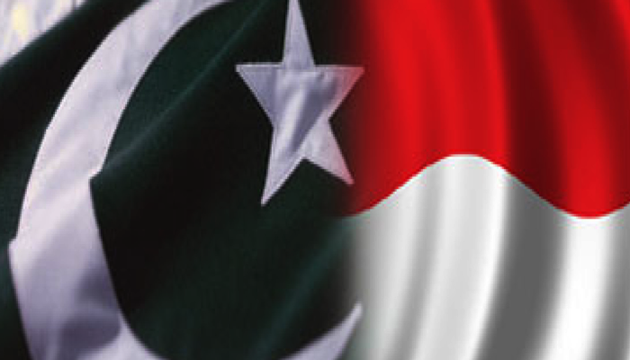 FTA talks with Indonesia: Pakistan sets condition