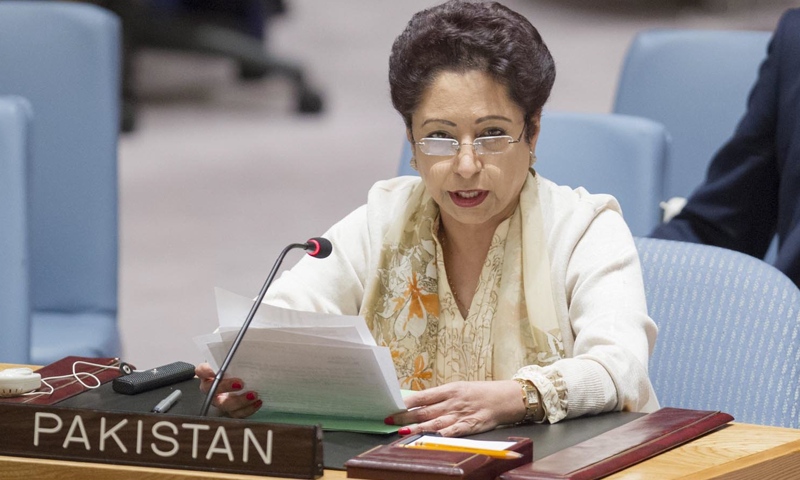 UN Security Council failed to implement resolutions, Maleeha Lodhi