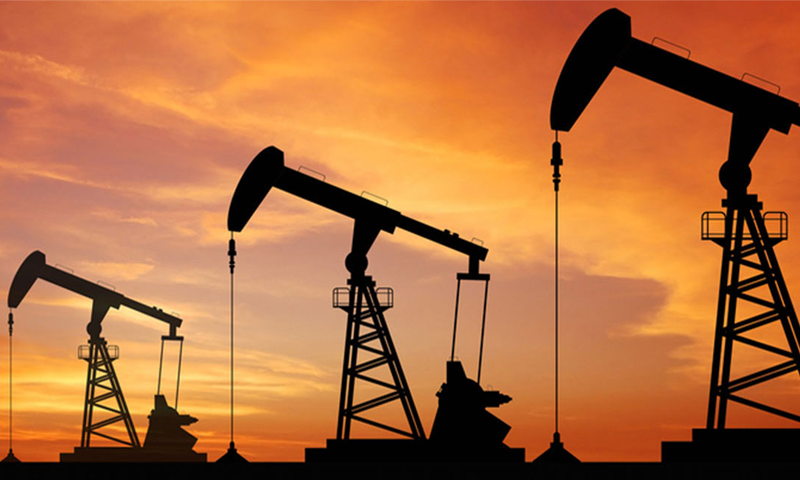 Provinces urge govt to make DGPC an independent body