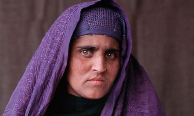 National Geographic 'Afghan girl' to be freed on bail