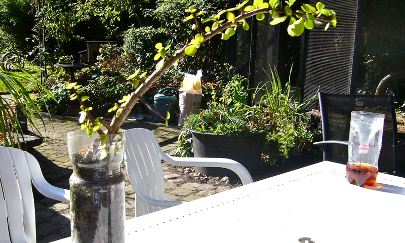 Seriously creative ways to recycle plastic bottles