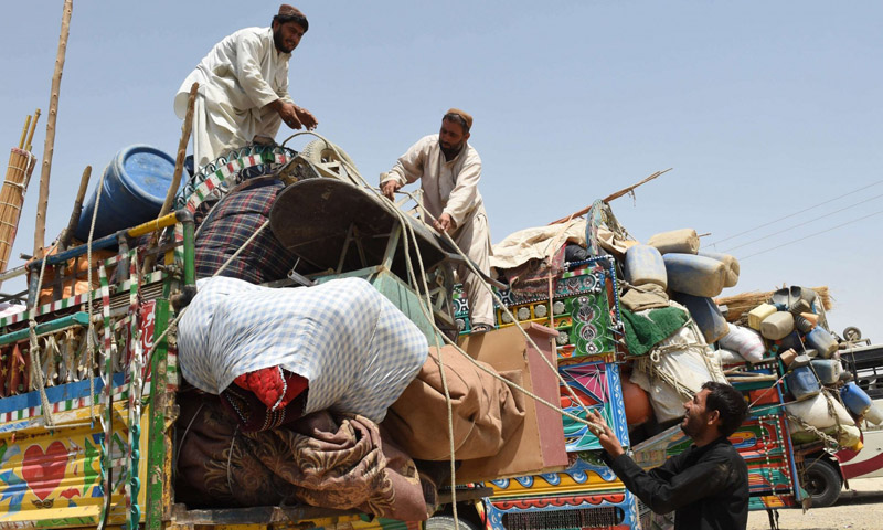 Repatriation of Afghan refugees to be suspended from 30 Nov