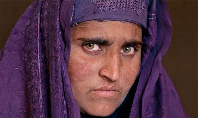 Court rejects Sharbat Gula bail appeal