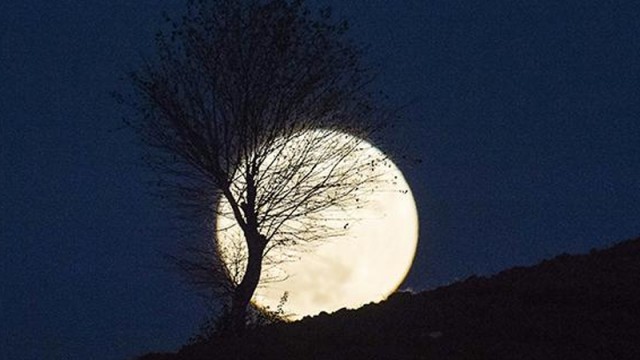 Largest super moon on November 13-14 middle night