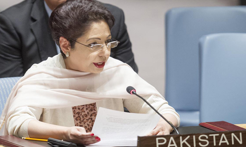 Pakistan urges settlement of Israeli-Palestinian conflict
