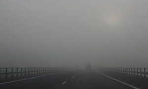 Opinion: Act before it's too late