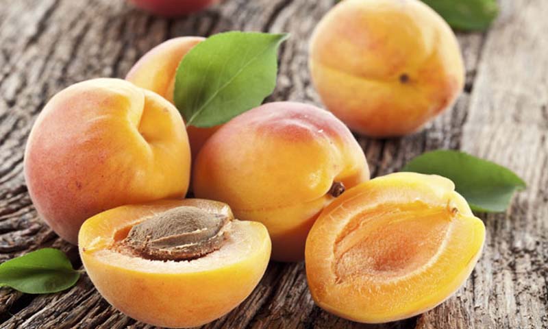 Apricot