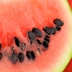 Few good reasons why you should never throw watermelon seeds again