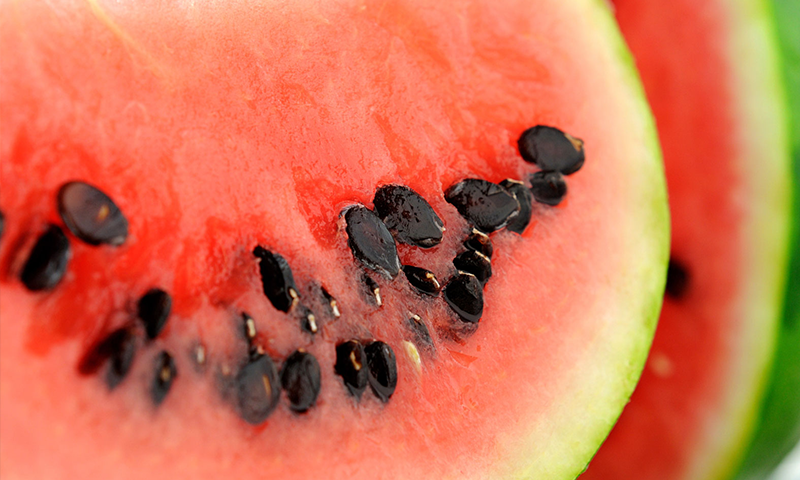 Few good reasons why you should never throw watermelon seeds again