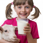 Why you should choose goat milk over cow milk