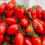 Whole tomato extract may prevent, treat stomach cancer