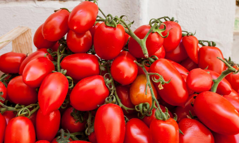 Whole tomato extract may prevent, treat stomach cancer