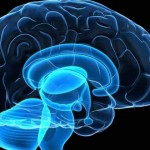 Sleep deprivation can cause brain to start 'eating' itself