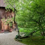 These adorable tiny houses will surely make your day