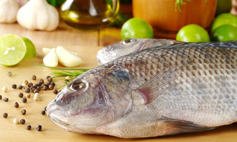Regular fish intake may ease BP symptoms