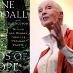 Did you know these famous five books have plagiarized content ?