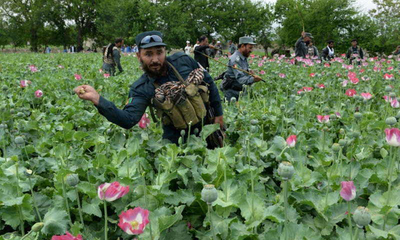 From poppy to heroin: Taliban move into Afghan drug production