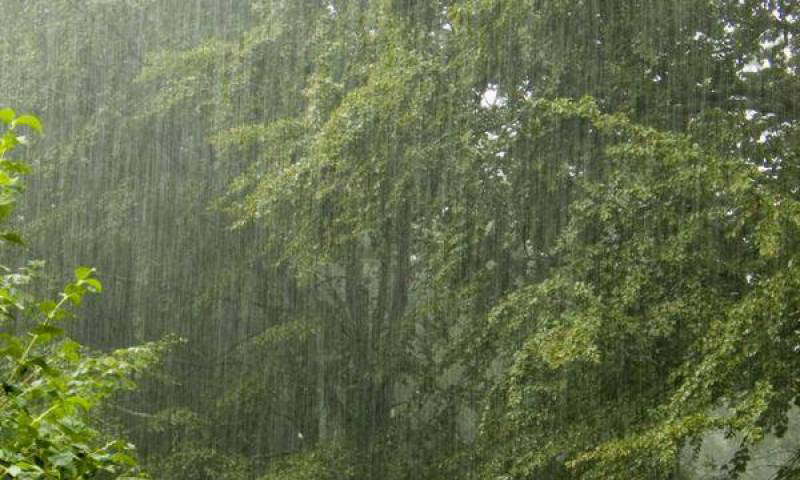 Rain expected in different parts of country