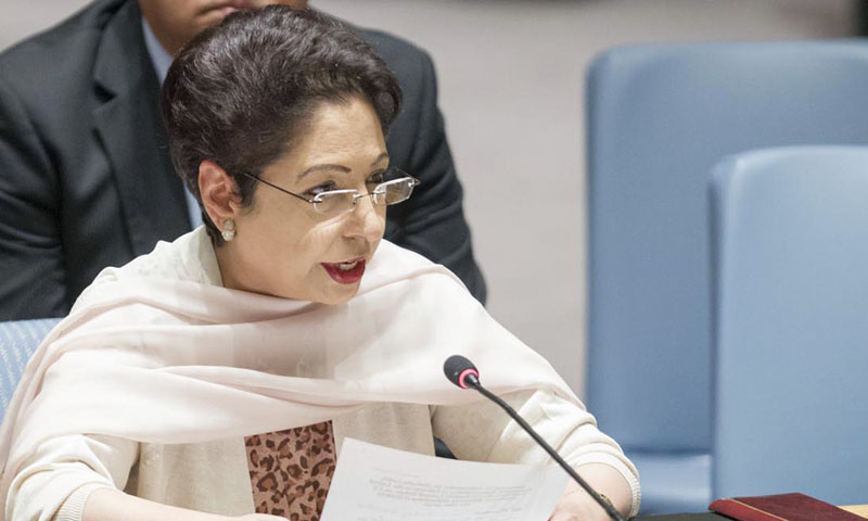 Sources of insecurity in Afghanistan lie inside, not outside