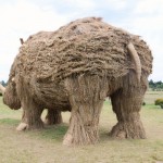 These giant animals are made with rice straw left over, see pictures