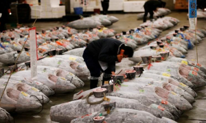 Tuna goes for $323,000 at Tokyo fish market's final New Year auction