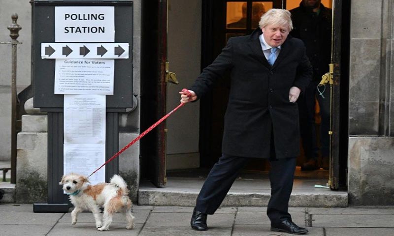 Polling station pooches bring light relief to UK election
