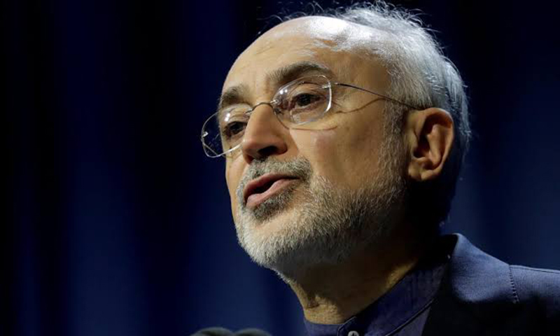 Iran unveils development at Arak reactor in face of U.S. pressure