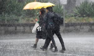 Floods, road closures in Australia as storms lash some bushfire-hit regions