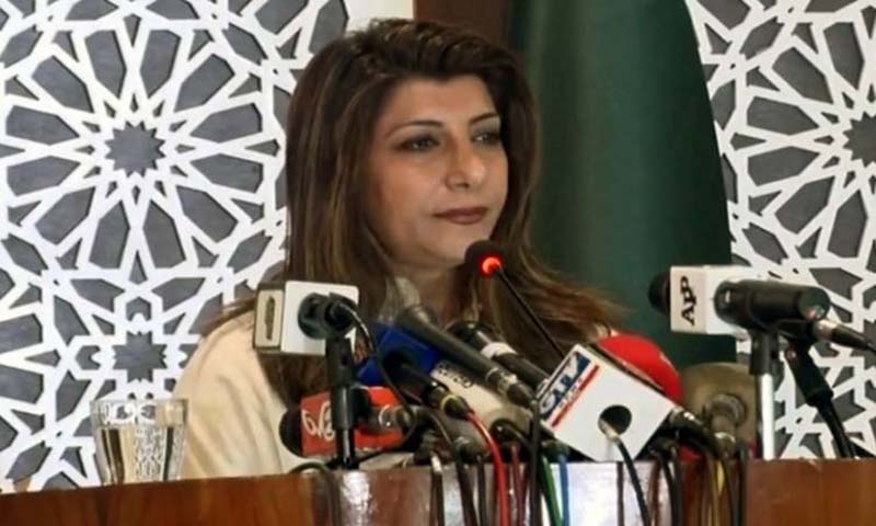 No one should underestimate Pakistan's resolve to effectively thwart any aggressive action: FO