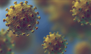 Govt constitutes committee for checking spread of coronavirus