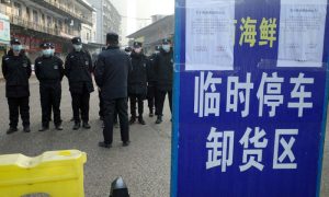 Experts warn over scale of China virus as US airports start screening