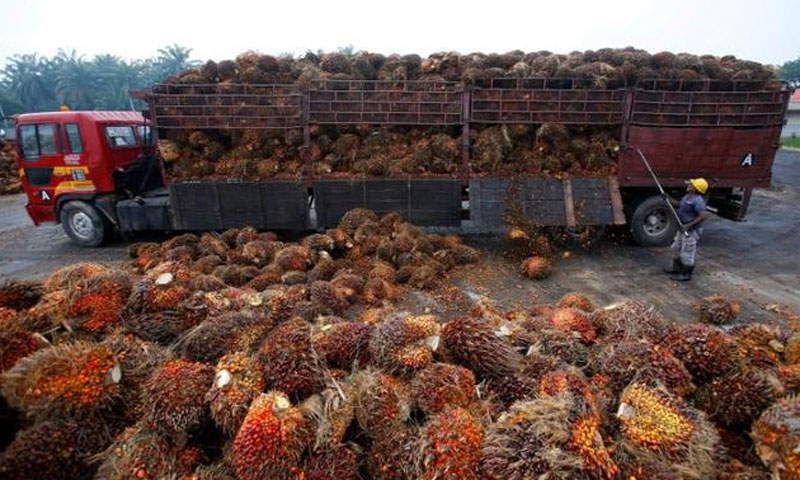 India says no meeting with Malaysia in Davos as palm row simmers