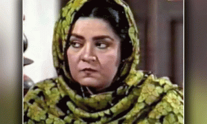 Renowned TV actress Nighat Butt passes away