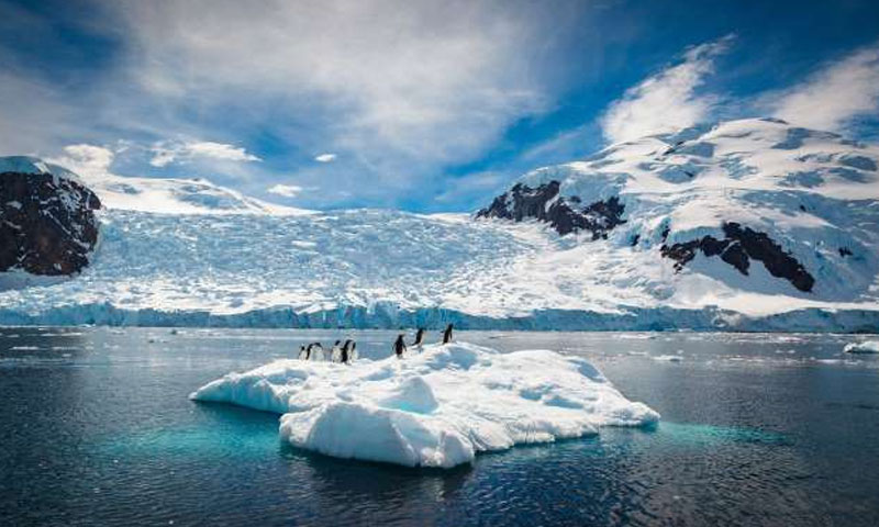 Global warming causing "irreversible" mass melting in Antarctica - scientist