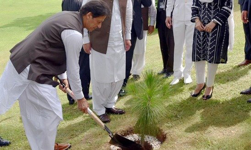 PM inaugurates spring tree plantation drive in Mianwali