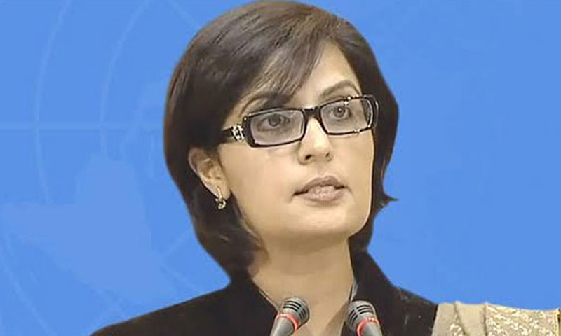 Dr Sania Nishtar tells how to get Rs12,000 cash assistance
