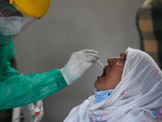 Sindh/Covid: 254 cases and 7 deaths reported in the last 24 hours