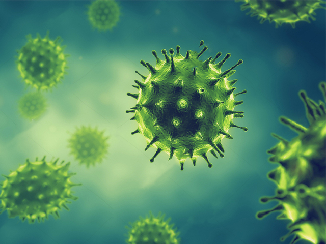 528,545 patients have fully recovered from COVID-19