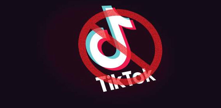 Peshawar High Court orders ban on TikTok