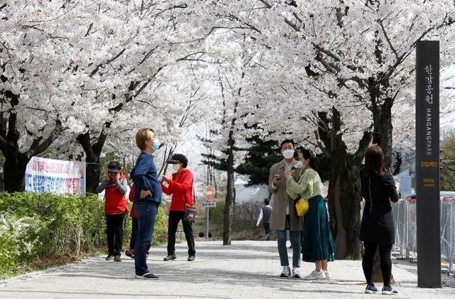 South Korea reports surge in coronavirus cases, more restrictions expected