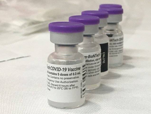 France delaying EU order for COVID-19 vaccine -Germany's Welt