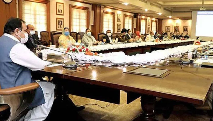 CM Punjab chairs meeting of provincial apex committee