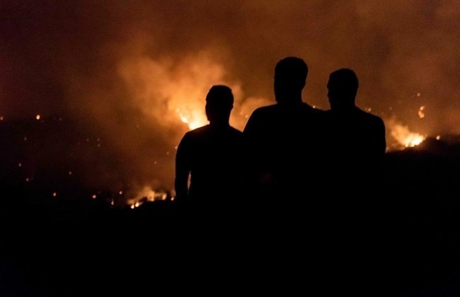 Four dead in Cyprus' worst forest fire in decades