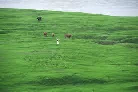 China marks 25% of its territory for environmental protection