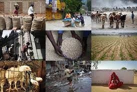 U.N. warns excluding women from top jobs threatens Covid recovery