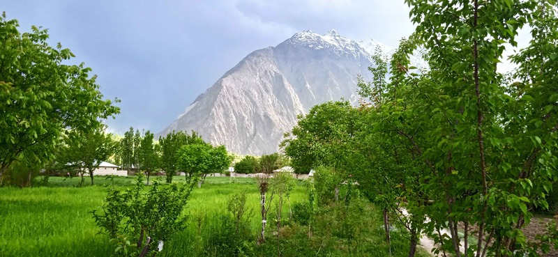 Northern Exposure: Looking For A Fix