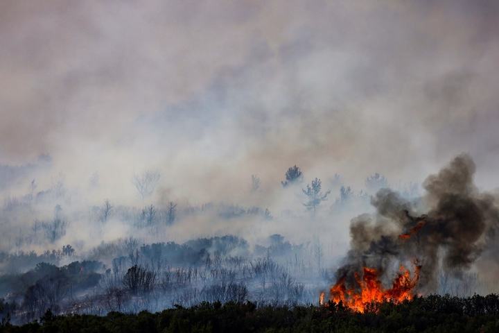 Drone footage shows devastation after wildfires ravage Turkey's pine forests