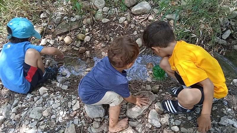 Parenting Through the Pandemic: A Story in Three Parts