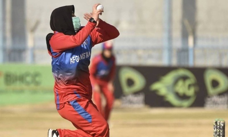 Afghan board committed to women's game, optimistic on Hobart test